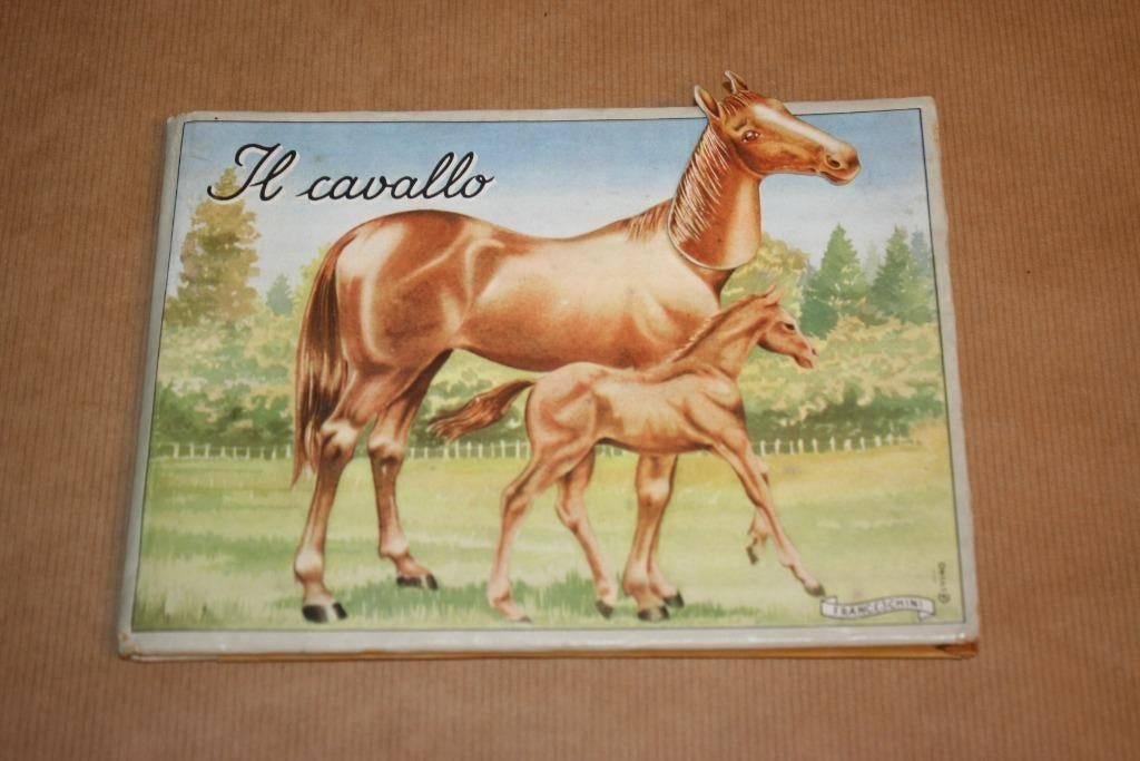 IL Cavallo - Oud prentenboek van het Paard 1949, Ophalen of Verzenden, Gelezen