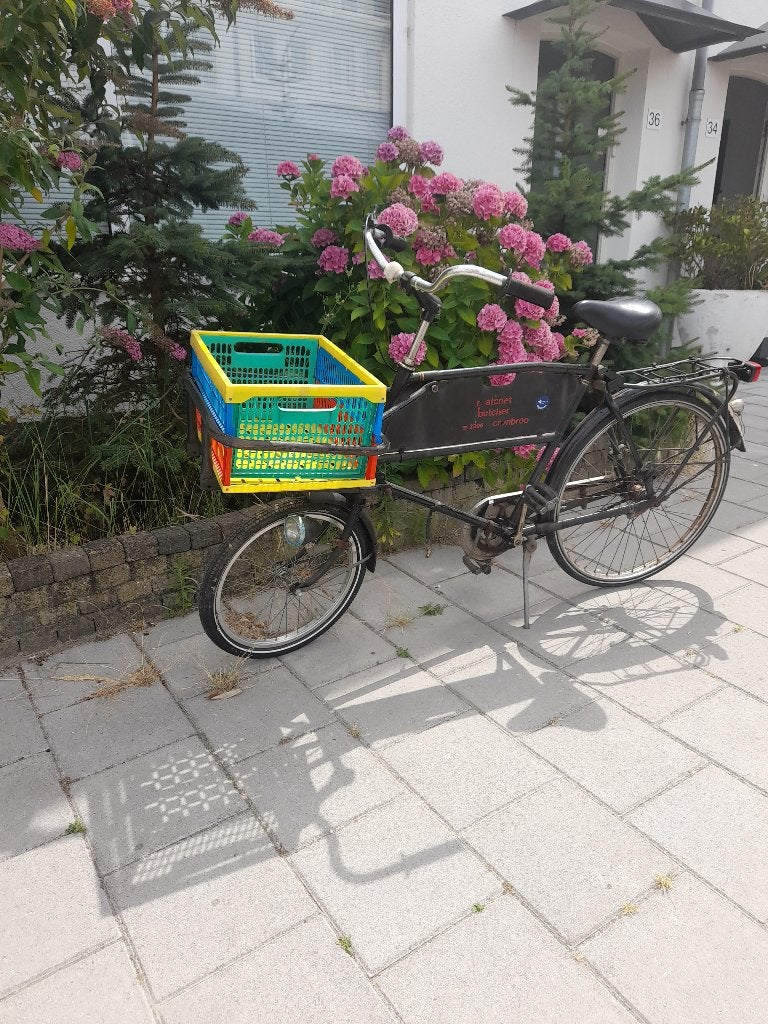 Vintage Ralleigh transportfiets, Fietsen en Brommers, Fietsen | Oldtimers, Ophalen, Terugtraprem, Ralleigh