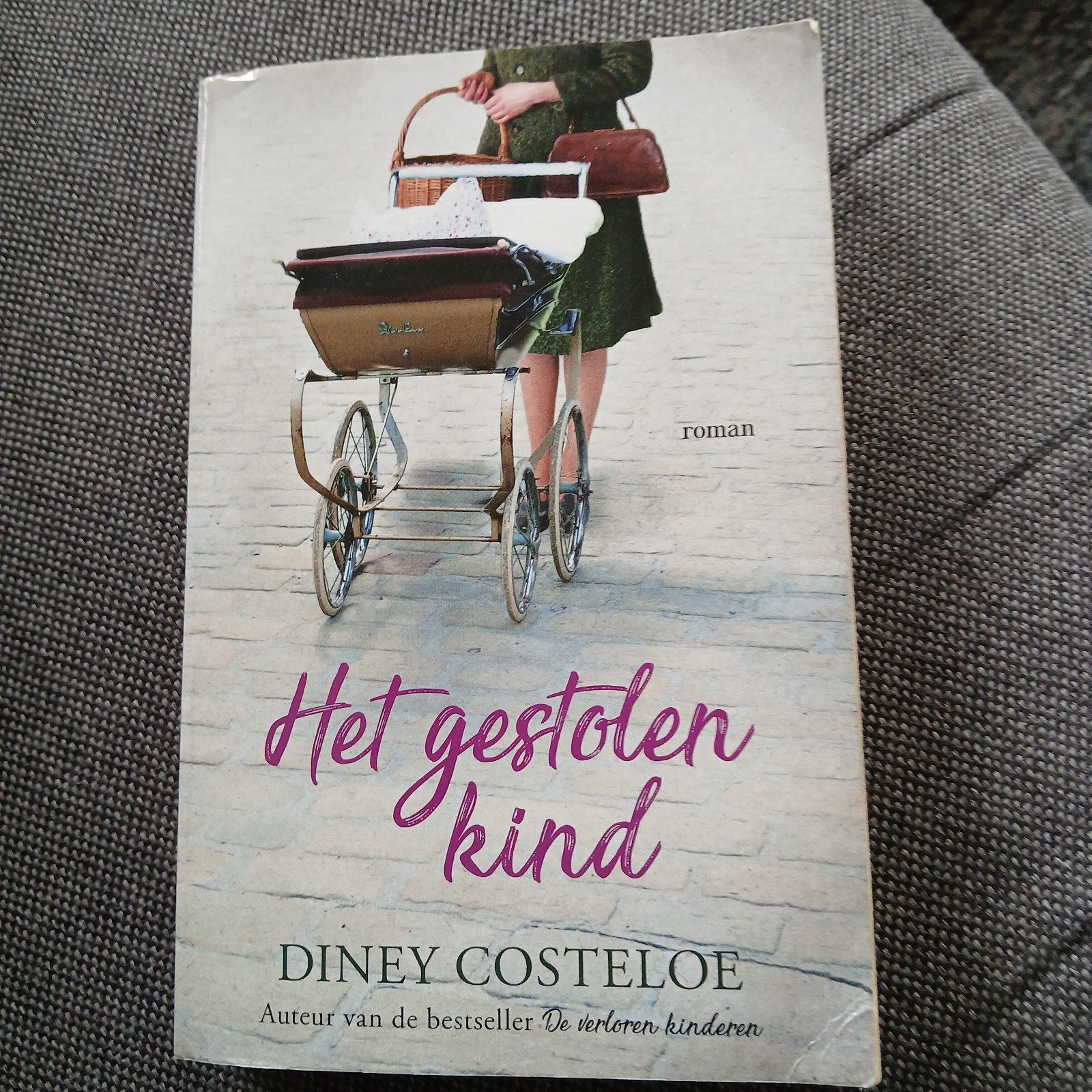 Het gestolen kind, Ophalen of Verzenden