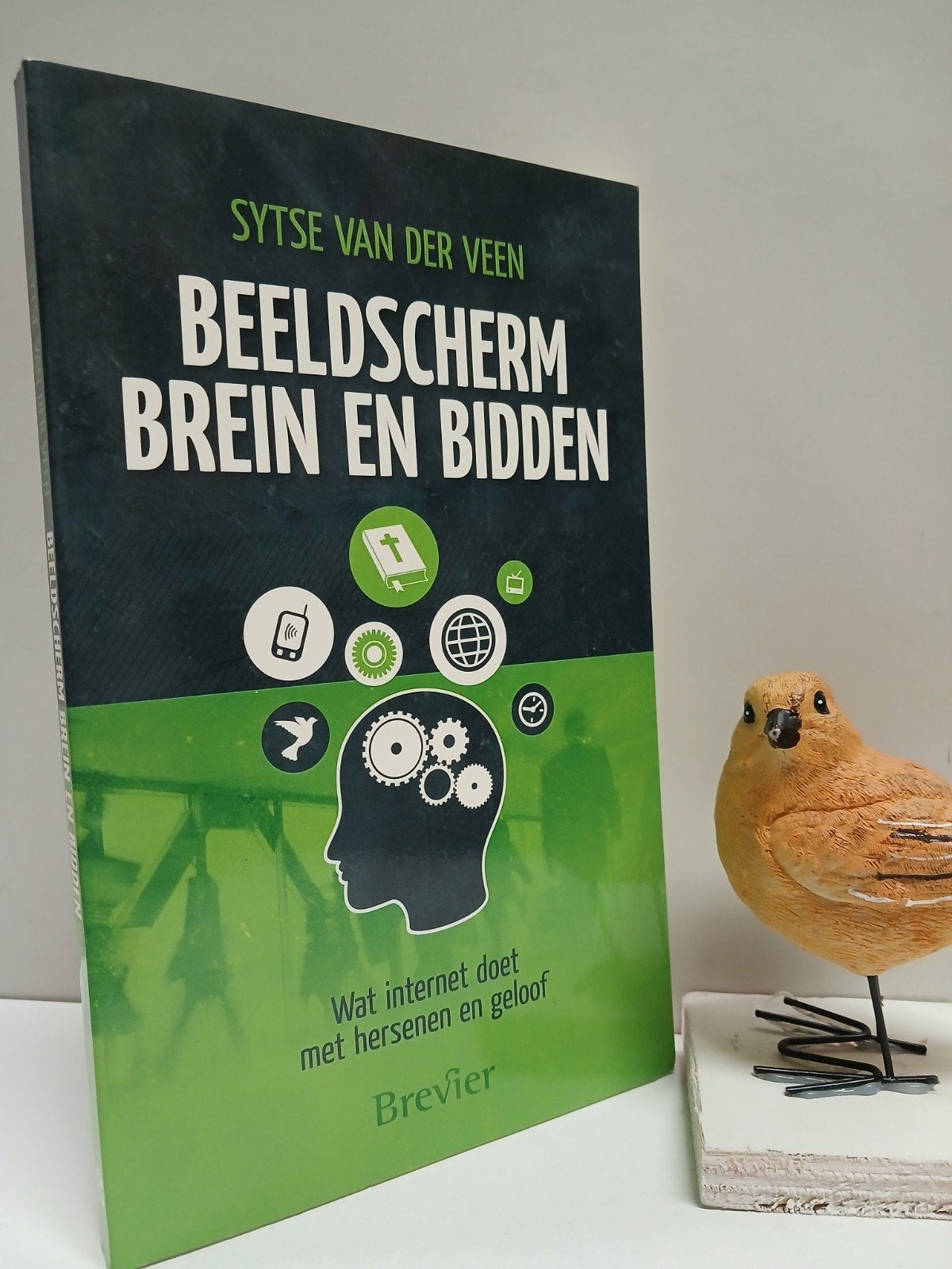 Veen, Sytse van der; Beeldscherm brein en bidden, Boeken, Ophalen of Verzenden, Gelezen, Christendom | Protestants