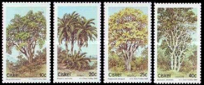 CISKEI 1984 Bomen (II), Michel: 52-55, Postfris., Verzenden, Postfris, Dier of Natuur