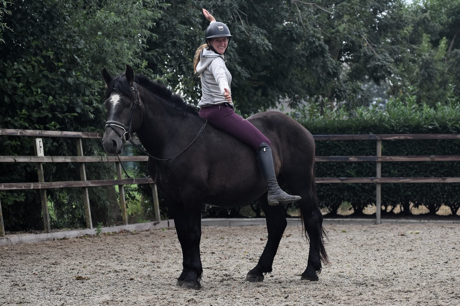 ** TOP brave en lieve rustige koudbloed kruising **, Minder dan 160 cm, Ruin, Gechipt, Zadelmak