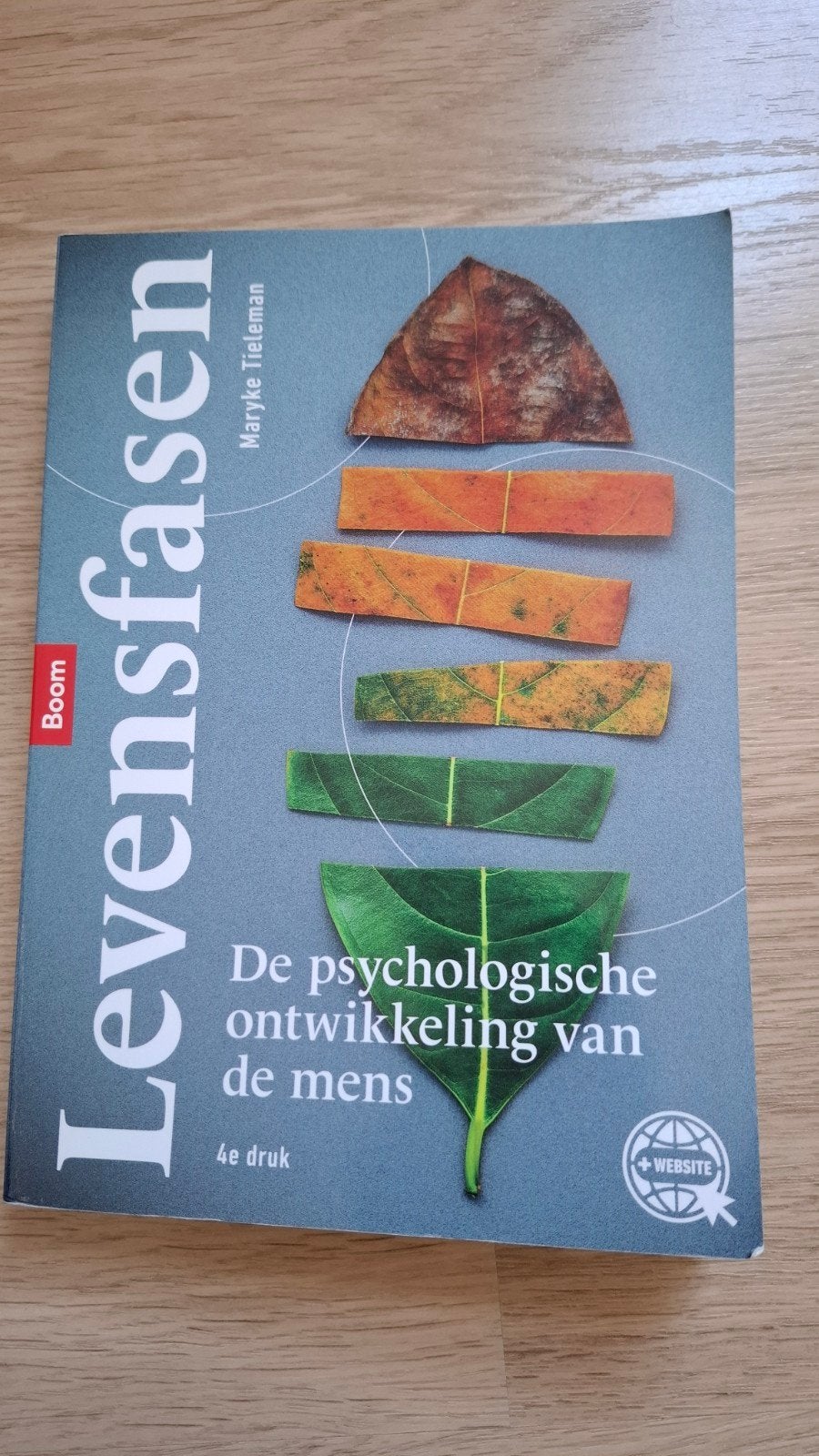 Mayke Tieleman - Levensfasen, Mayke Tieleman, Ophalen of Verzenden, Zo goed als nieuw, Nederlands