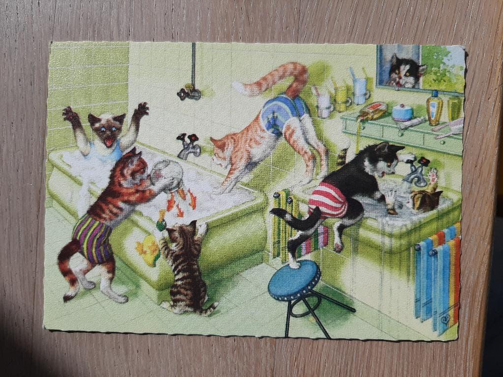 oude kinderkaart Katten poezen in zwembroek badkamer, jr60, Ophalen of Verzenden, 1940 tot 1960, Ongelopen, Kinderen