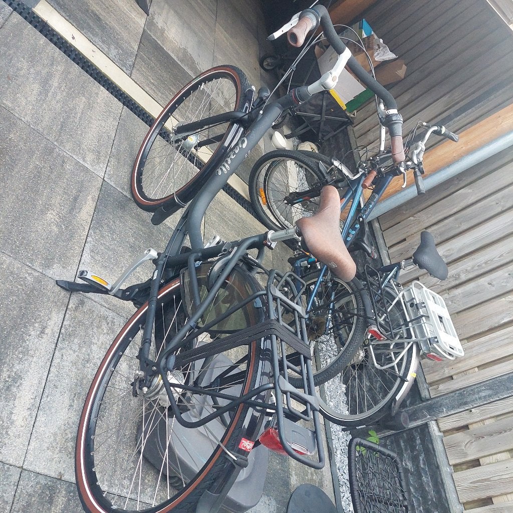 Gazelle mama fiets, Fietsen en Brommers, Fietsen | Dames | Moederfietsen, Ophalen, Versnellingen, Zo goed als nieuw, 0 zitjes