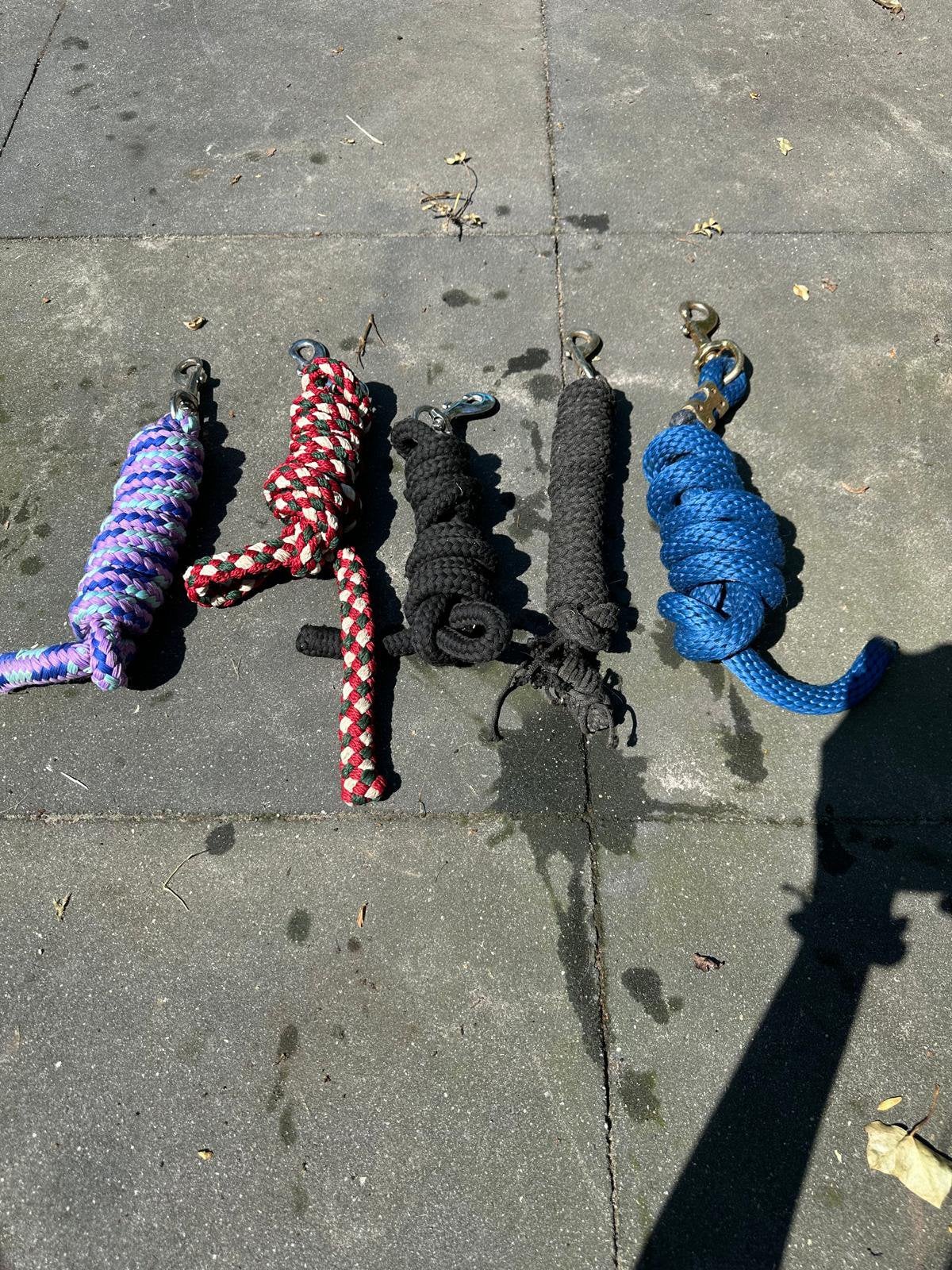 Mooie halsters en halster touwen, Ophalen, Zo goed als nieuw