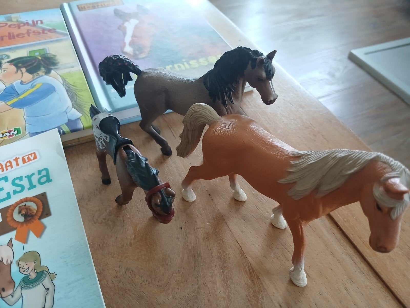 Schleich paarden en boeken set, Ophalen of Verzenden, Zo goed als nieuw