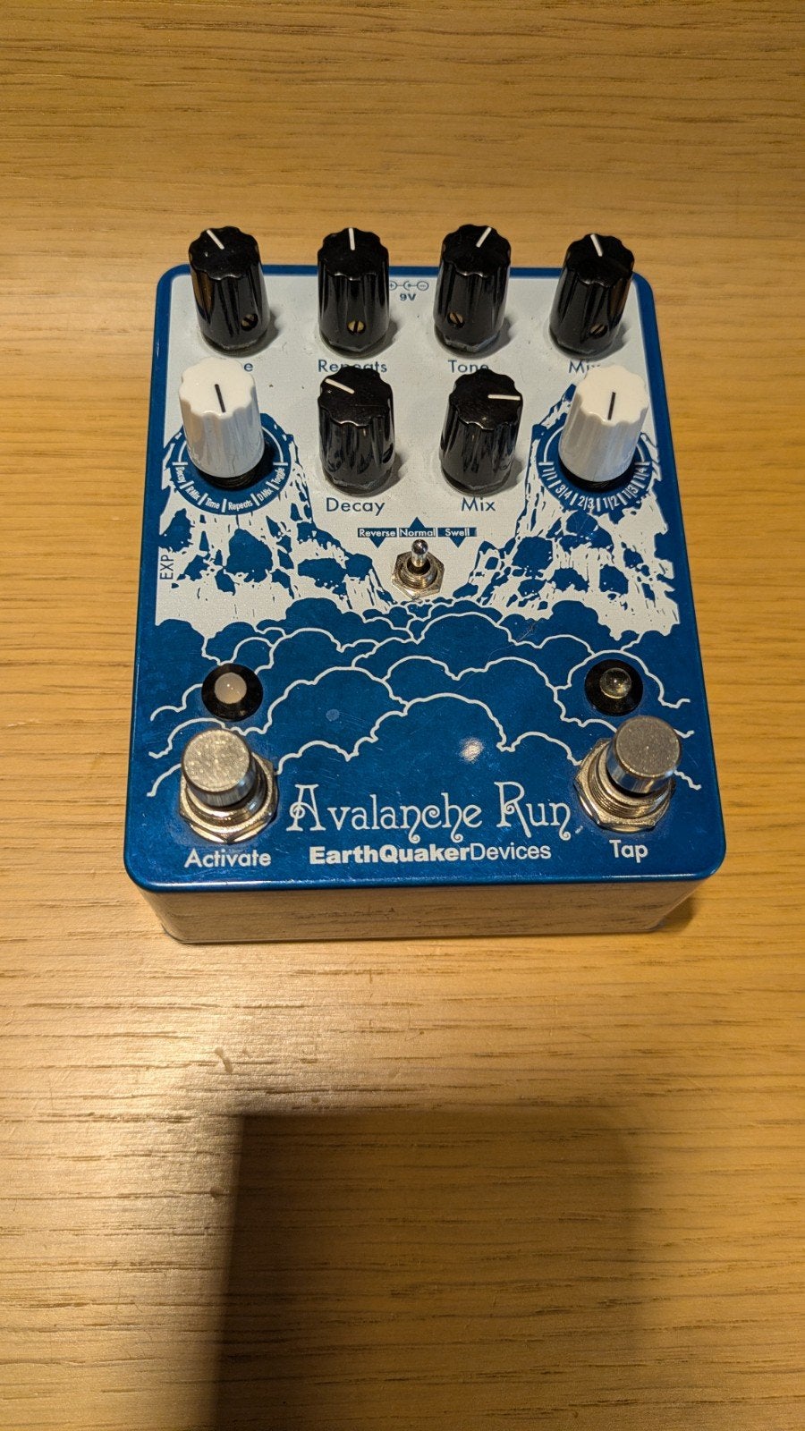 EarthQuaker Devices Avalanche Run  Delay & Reverb Pedaal, Ophalen of Verzenden, Zo goed als nieuw, Delay of Echo