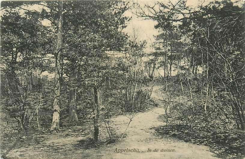 377-670-017 Appelscha in de Duinen, Verzenden, Voor 1920, Friesland