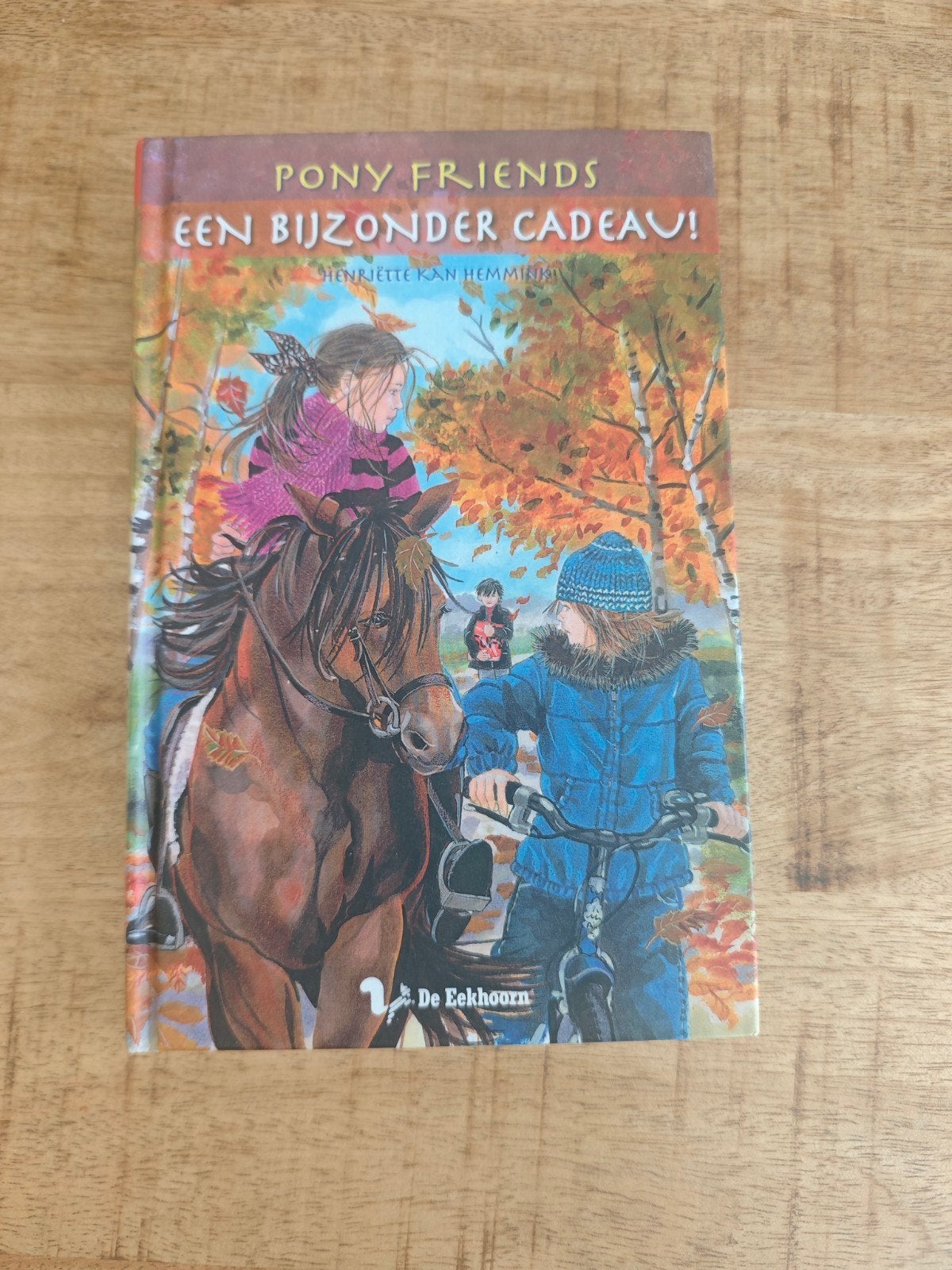 Pony Friends: Een Bijzonder Cadeau! - Henriette Kan Hemmink, Boeken, Ophalen of Verzenden, Zo goed als nieuw, Henriette Kan Hemmink