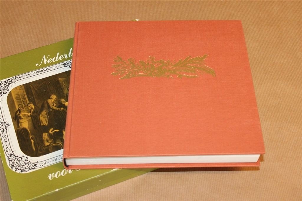 Nederland Voor 100 Jaar — Stadsgezichten 1859-1959, Ophalen of Verzenden, Gelezen