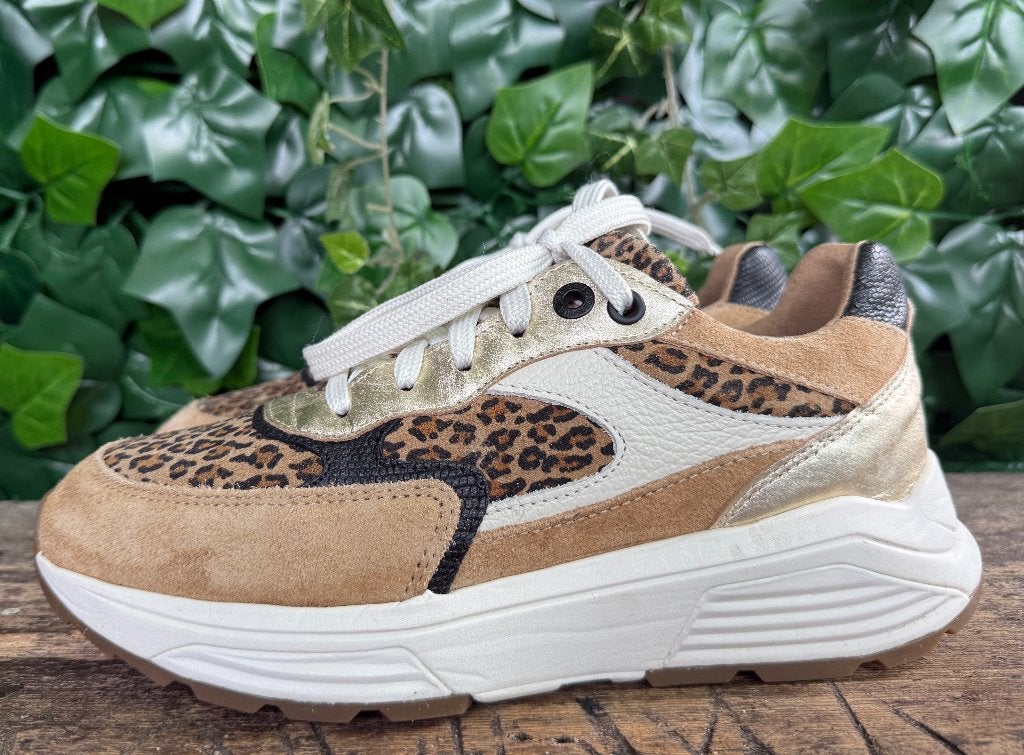 Nieuwe sneakers van Xsensible maat 38 (wijdte G), Bruin, Nieuw, Ophalen of Verzenden, Sneakers of Gympen