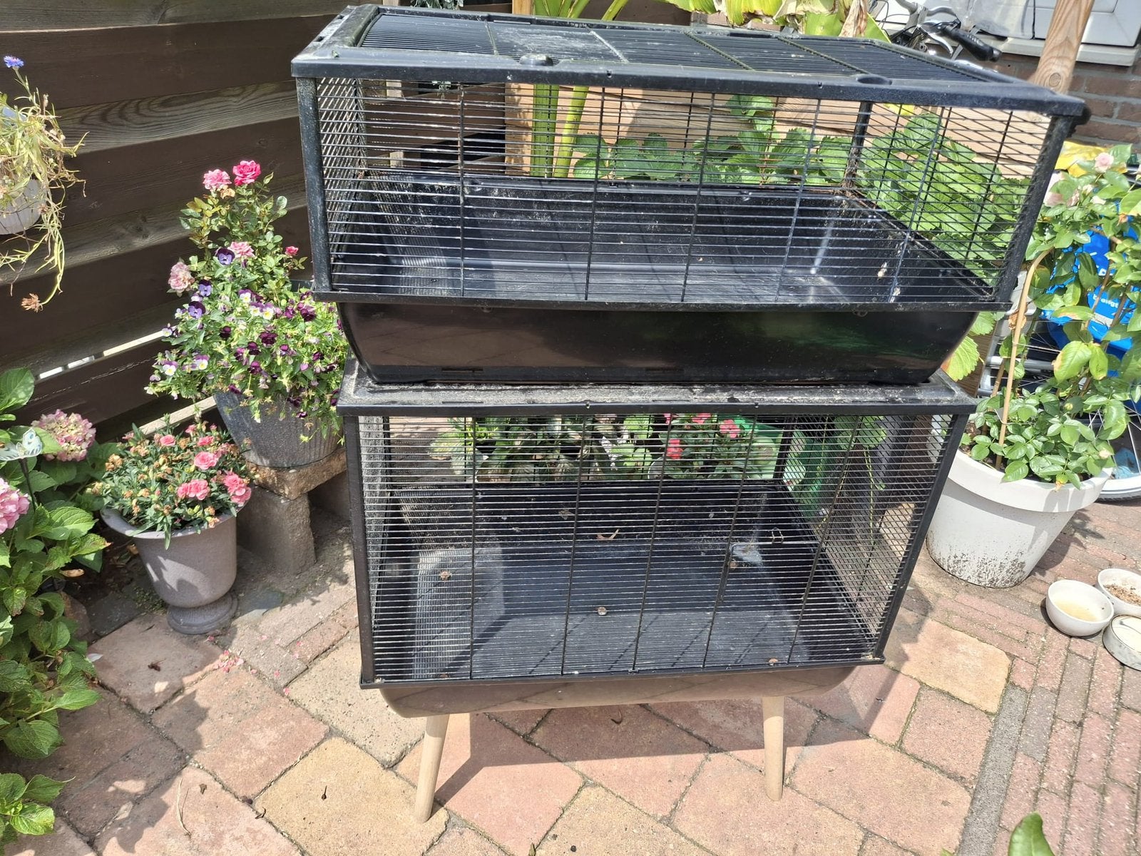 2x kooien, Ophalen, Gebruikt, Kooi, Minder dan 60 cm