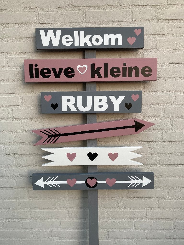 Foto 17 van geboorte bord jongen en meisje