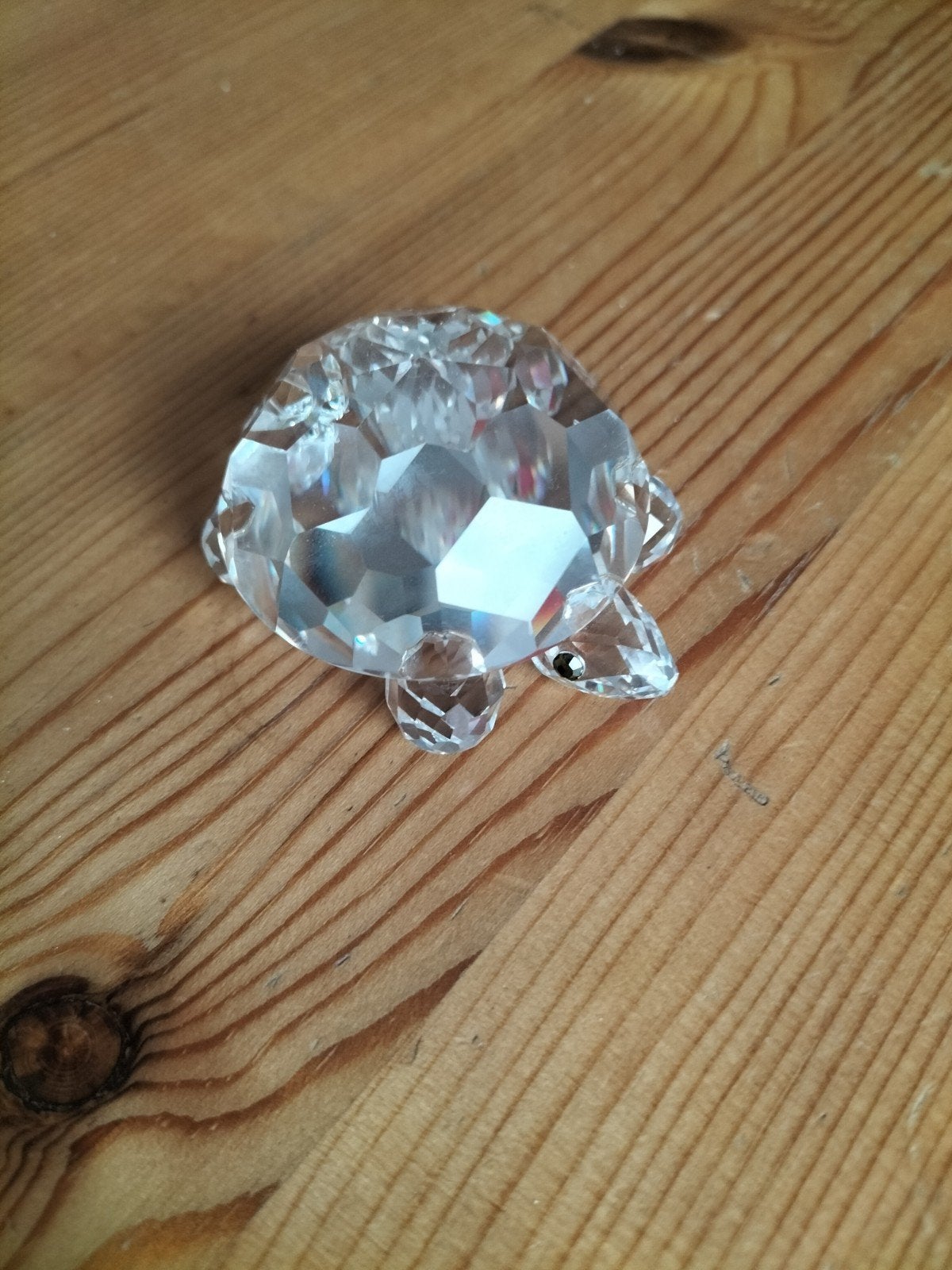 schildpad van glas, Ophalen of Verzenden, Gebruikt, Dier