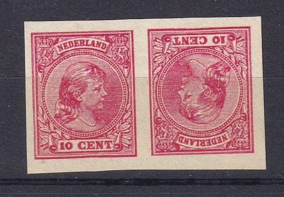 B32) 1891 Nederland 2 proeven ongetand MNH maakwerk, Verzenden, T/m 1940, Postfris