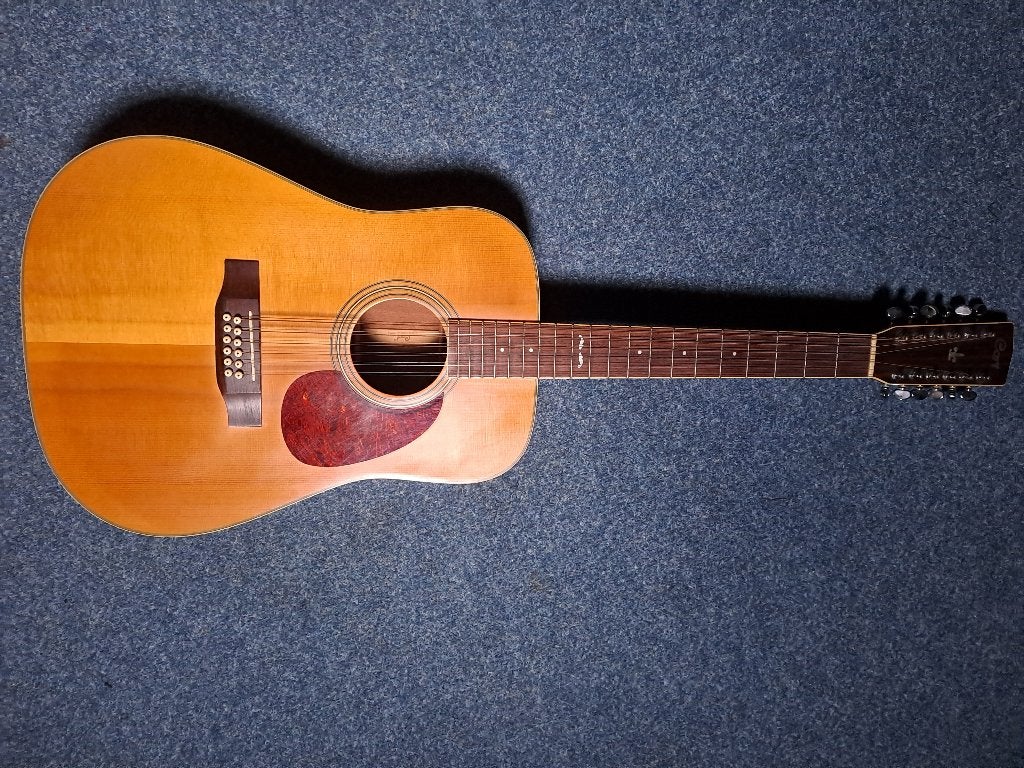 te koop vintage cort 12 snarig, Ophalen, Zo goed als nieuw, Western- of Steelstringgitaar