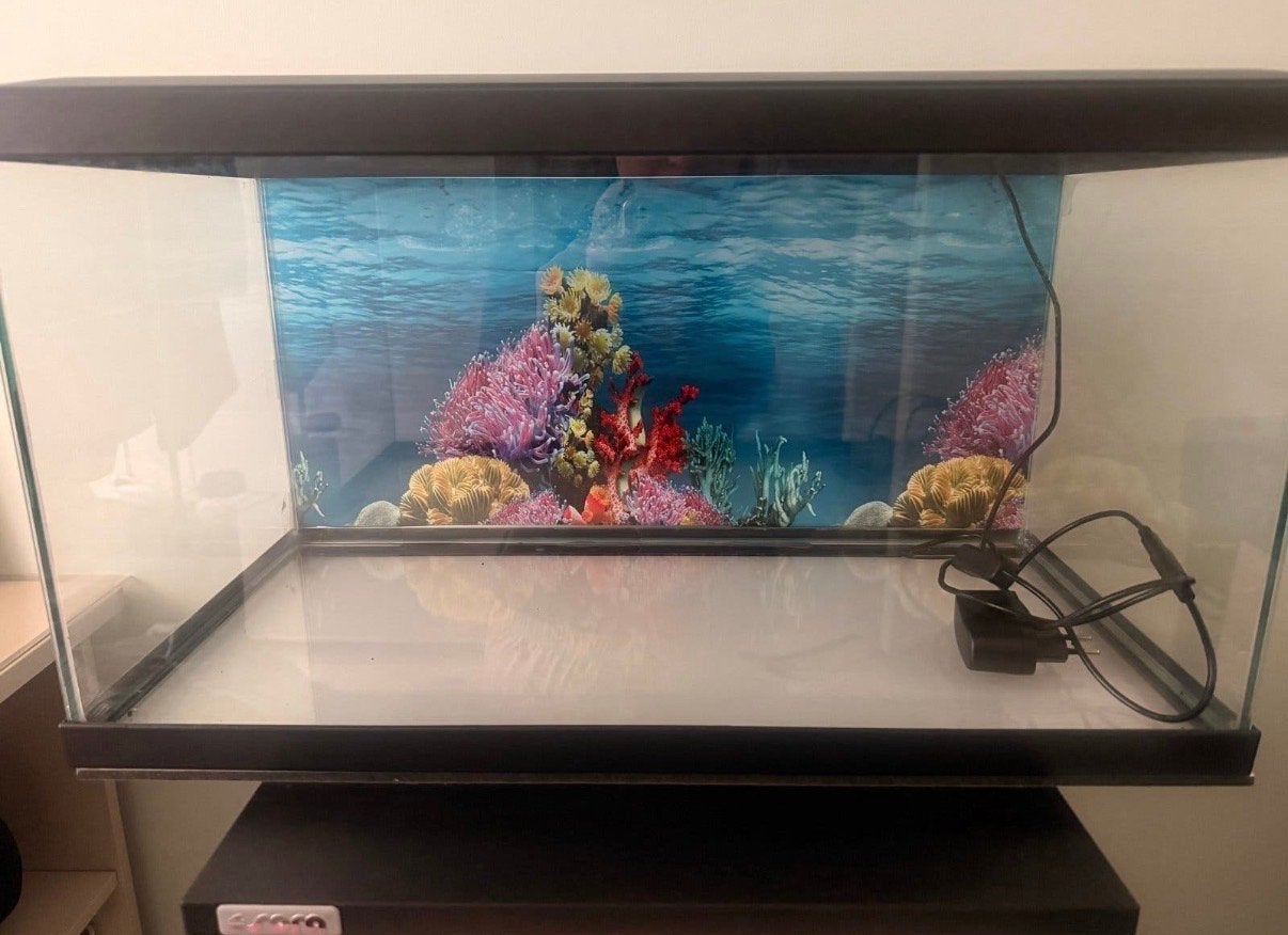 Prachtig zeer compleet aquarium, Ophalen, Zo goed als nieuw, Leeg aquarium