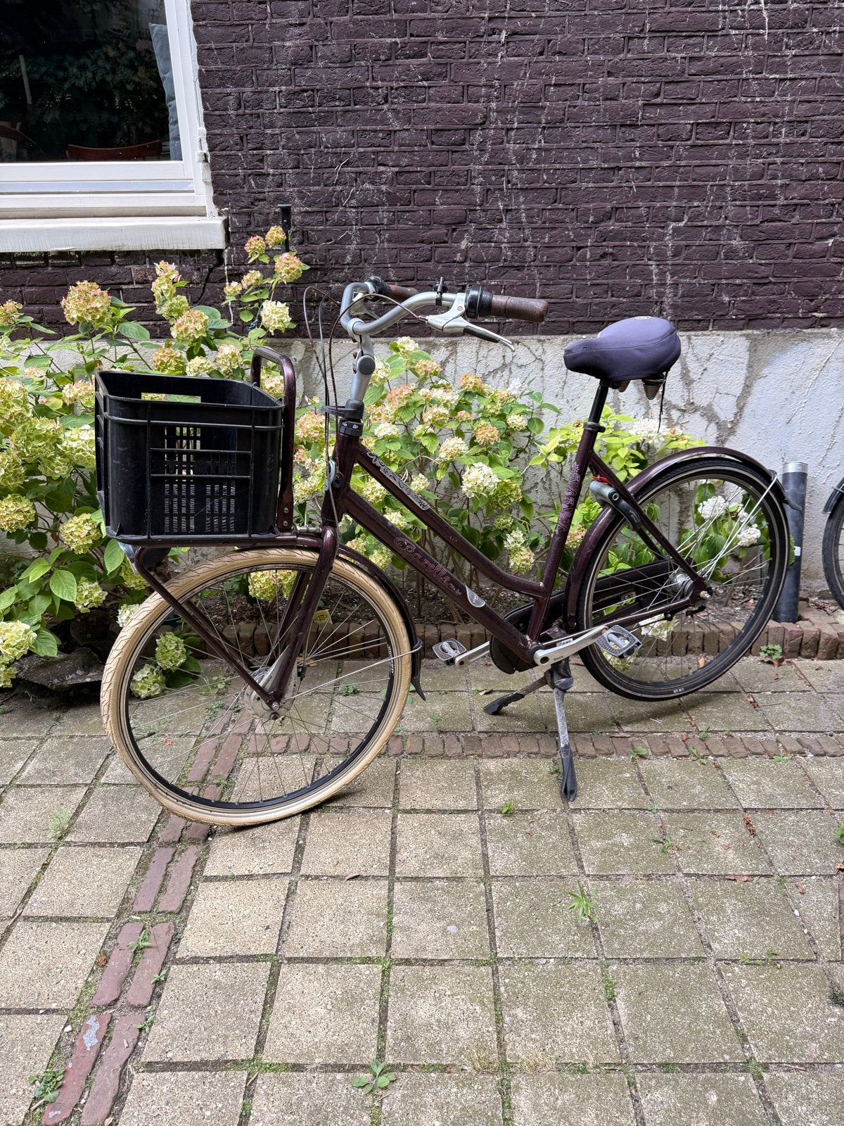 Gazelle Miss Grace damesfiets met voordrager, Ophalen, Velgrem, Versnellingen, Gazelle