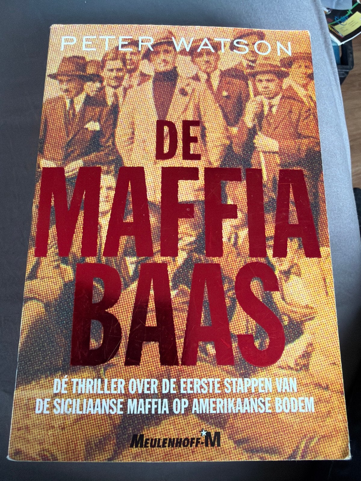 NK.   De Maffiabaas - Peter Watson (Thriller), Boeken, Ophalen of Verzenden, Zo goed als nieuw, Amerika