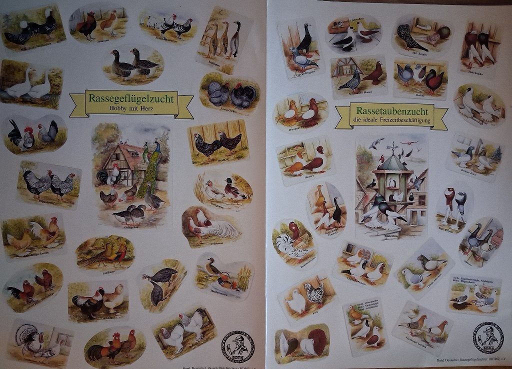A3 Stickervel, Raskippen en Rasduiven met elk 21 stickers, Ophalen of Verzenden, 1980 tot heden, Ongelopen, Vogel