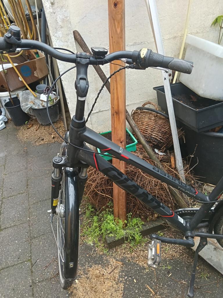 Damesfiets Giant, Ophalen, Giant