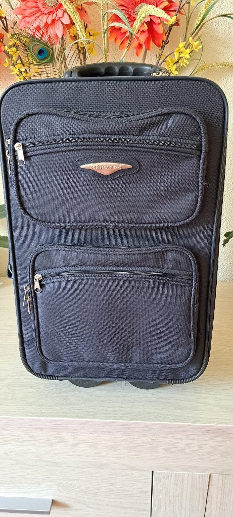 Cabine koffer / handbagage koffer, 21 cm x 34 cm x 53 cm, Wieltjes, Gebruikt, 50 tot 60 cm, Hard kunststof