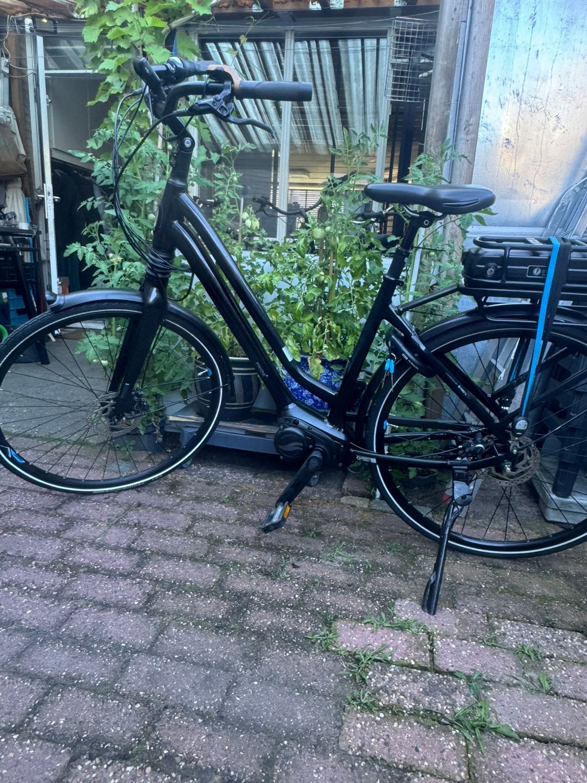 Elektrisch fiets giant prime, Fietsen en Brommers, Elektrische fietsen, Ophalen, Zo goed als nieuw, Overige merken
