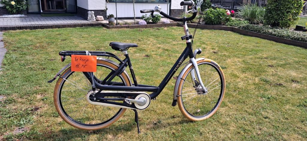 Zwangerschapsfiets met lage instap - Overige merken, Overige merken, Velgrem, Ophalen of Verzenden, 50 tot 53 cm