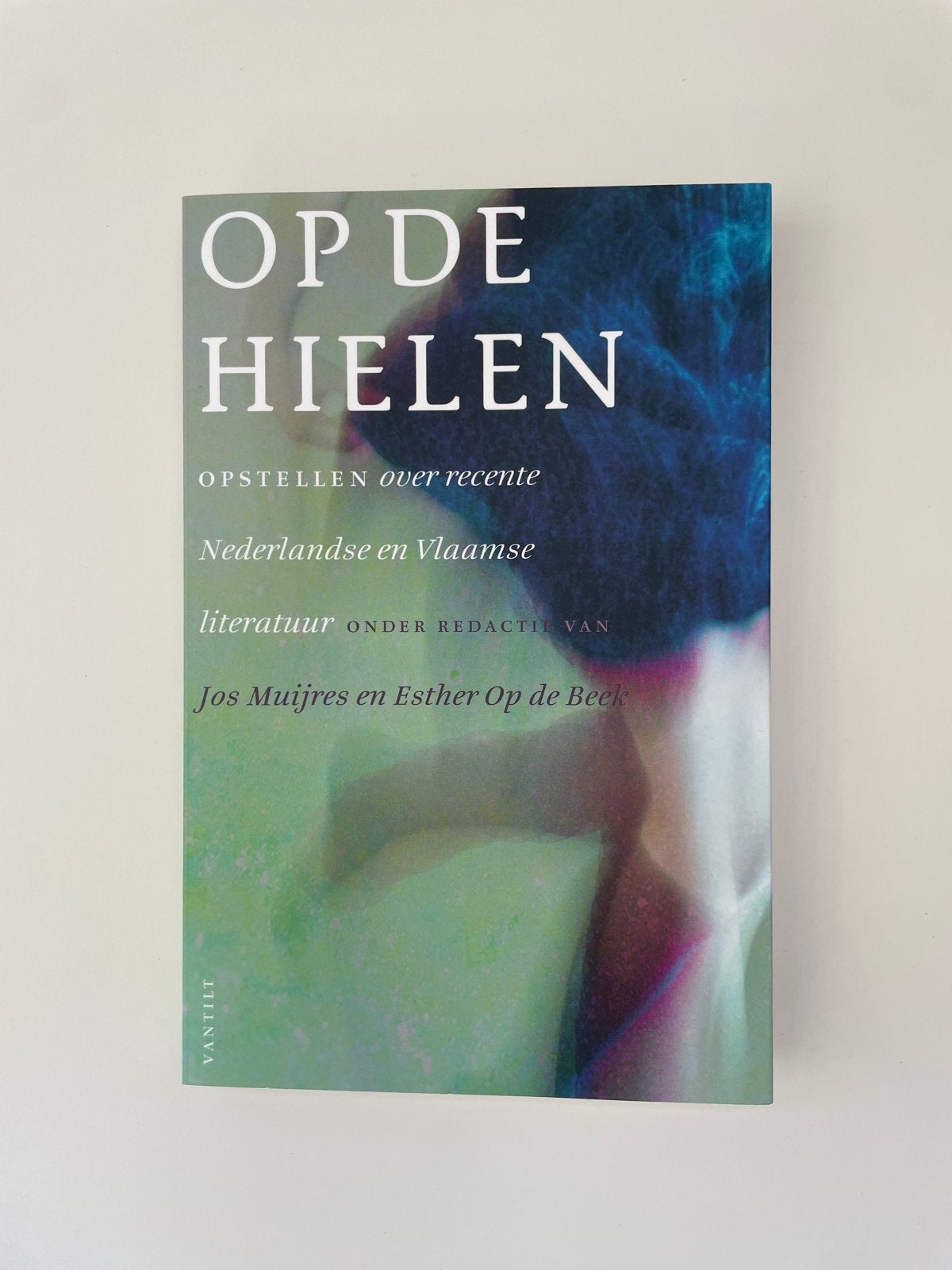 Op de Hielen - Opstellen over Nederlandse en Vlaamse literat, Ophalen of Verzenden, Zo goed als nieuw, Nederland