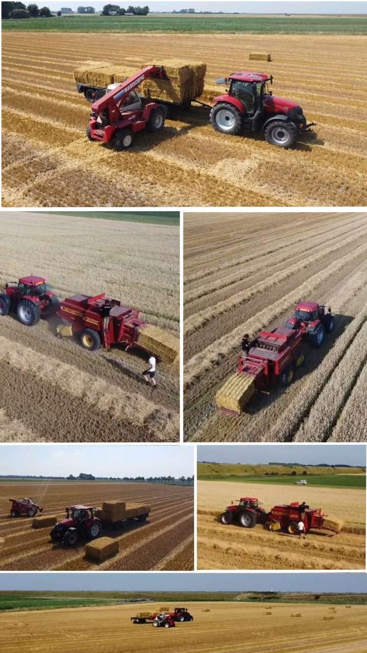 Tarwe stro, Dieren en Toebehoren, Ophalen of Verzenden, Vee