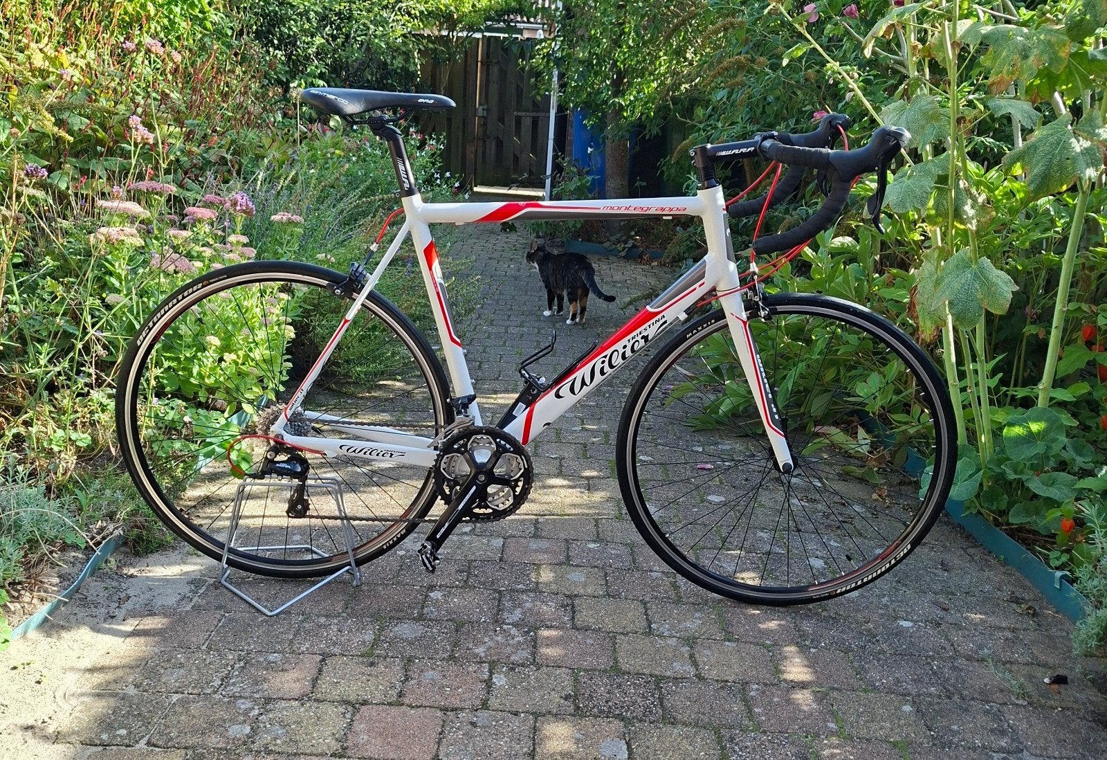Wilier Montegrappa, Aluminium, 57 tot 61 cm, Meer dan 20 versnellingen, Ophalen