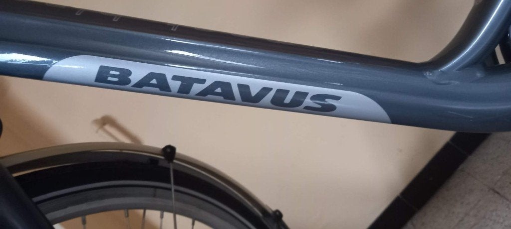 Foto 3 van Batavius elektrische fiets