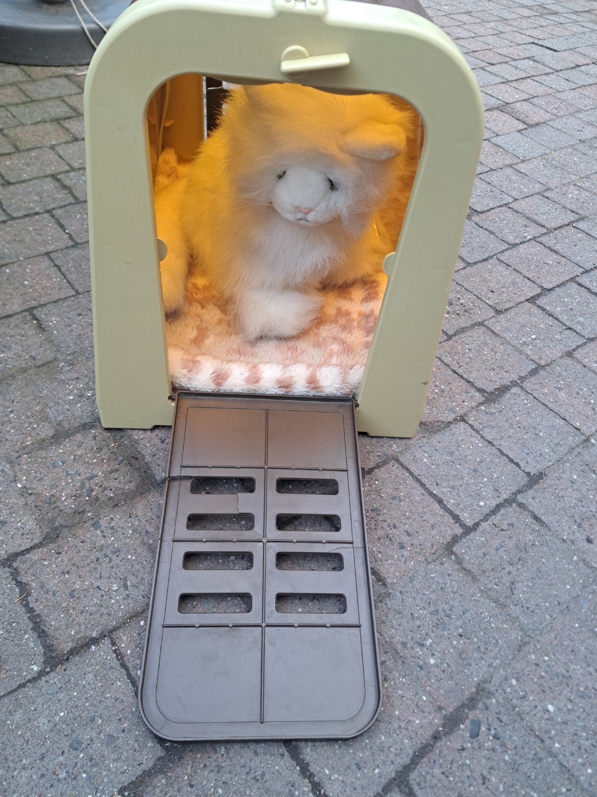 Reismand met poes, Ophalen