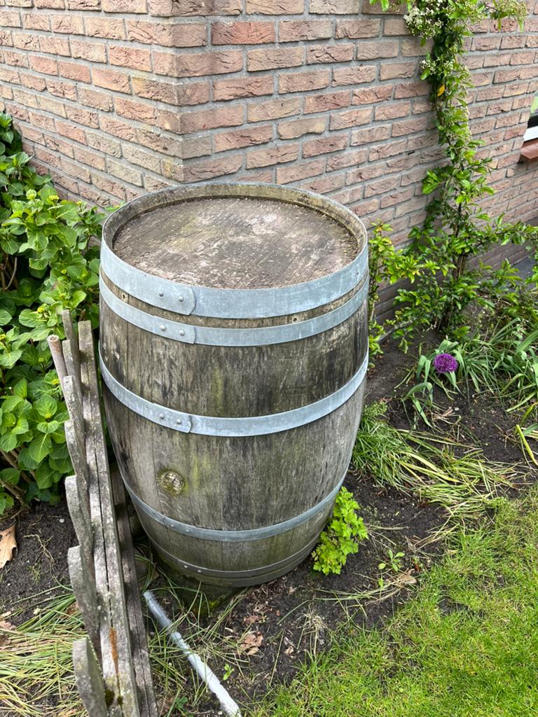 Eiken regenton, 150 liter of meer, Ophalen of Verzenden, Gebruikt