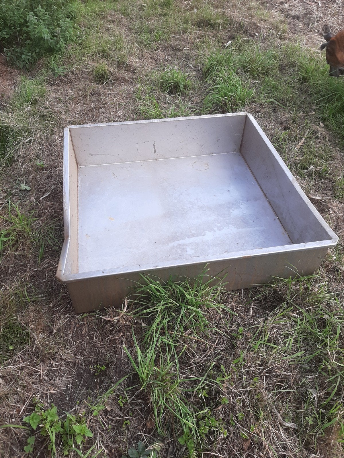 Te koop RVS lek bakken., Ophalen