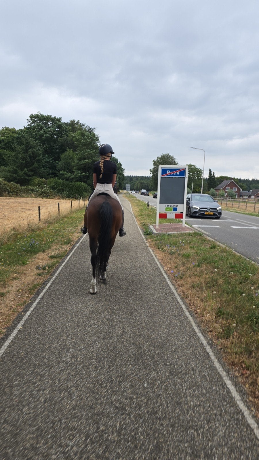 Gezocht weiland / stallen in eigen beheer!, Dieren en Toebehoren, Weidegang, 4 paarden of pony's of meer
