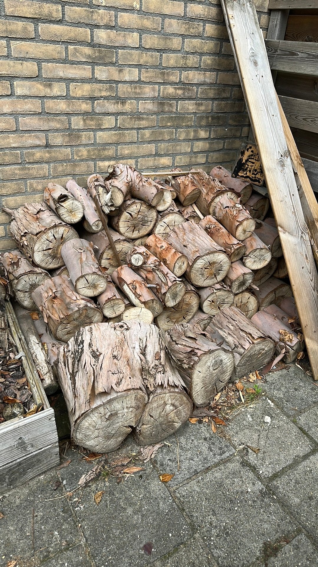 Hout, Tuin en Terras, Haardhout, Minder dan 3 m³, Ophalen, Stammen