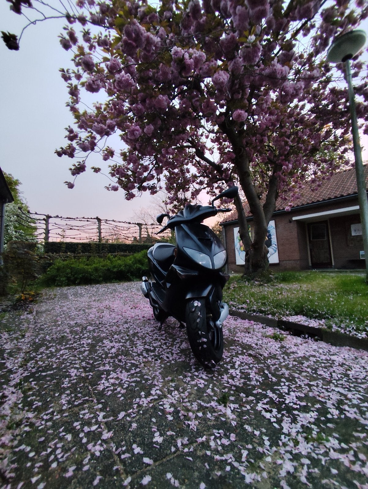 Peugeot Speedfight 1 AC 50cc, Fietsen en Brommers, Scooters | Peugeot, Ophalen, Gebruikt, Speedfight, Benzine