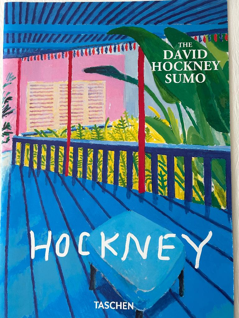 David Hockney Teaser 2016, Boeken, Kunst en Cultuur | Beeldend, Ophalen of Verzenden, Grafische vormgeving, Hans Werner Holzwart