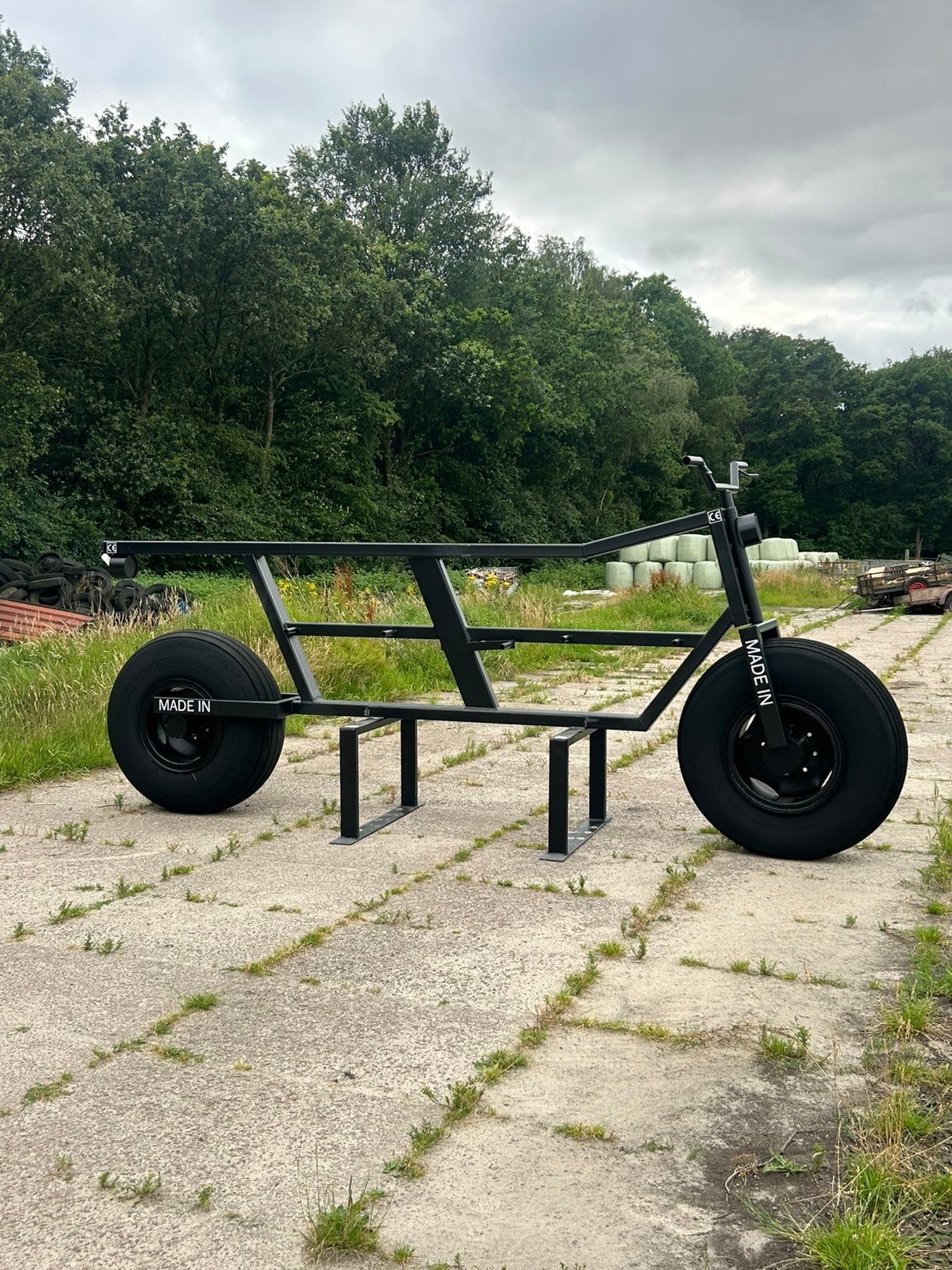 Fatbike, Hobby en Vrije tijd, Ophalen of Verzenden, Carnaval