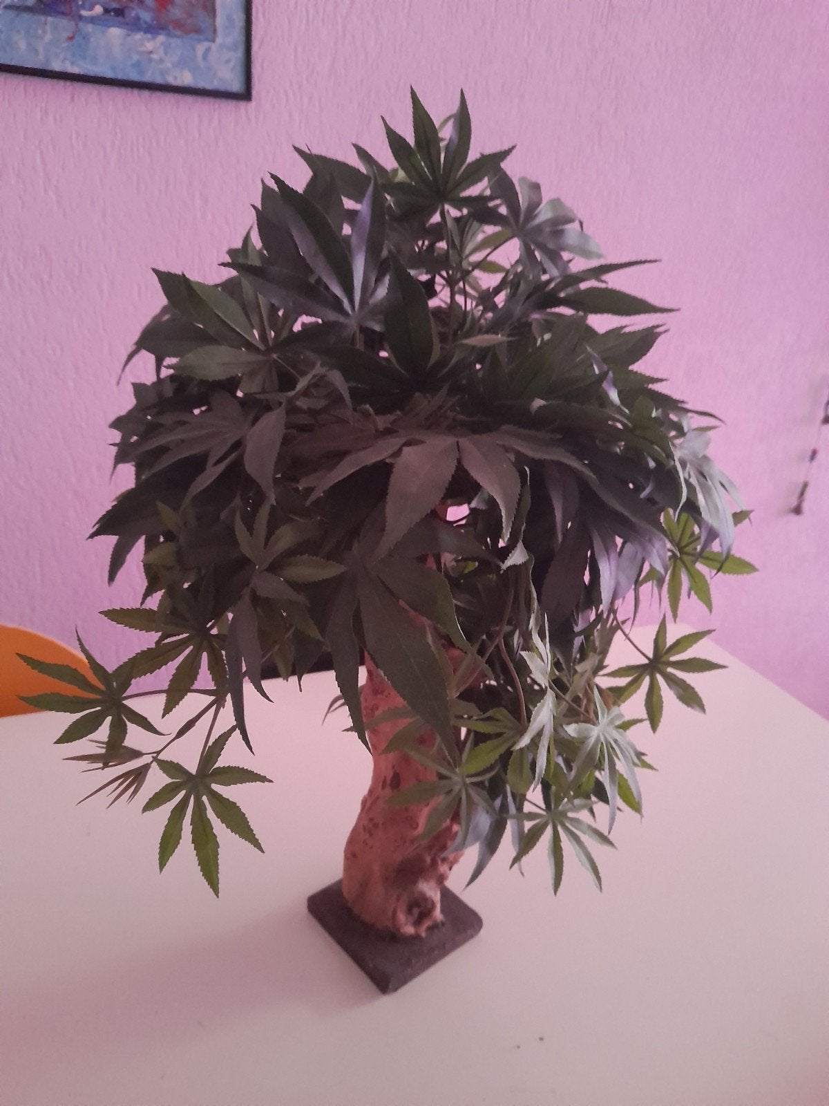 Kunst plant, Huis en Inrichting, Woonaccessoires | Kunstplanten en Kunstbloemen, Ophalen of Verzenden, Zo goed als nieuw