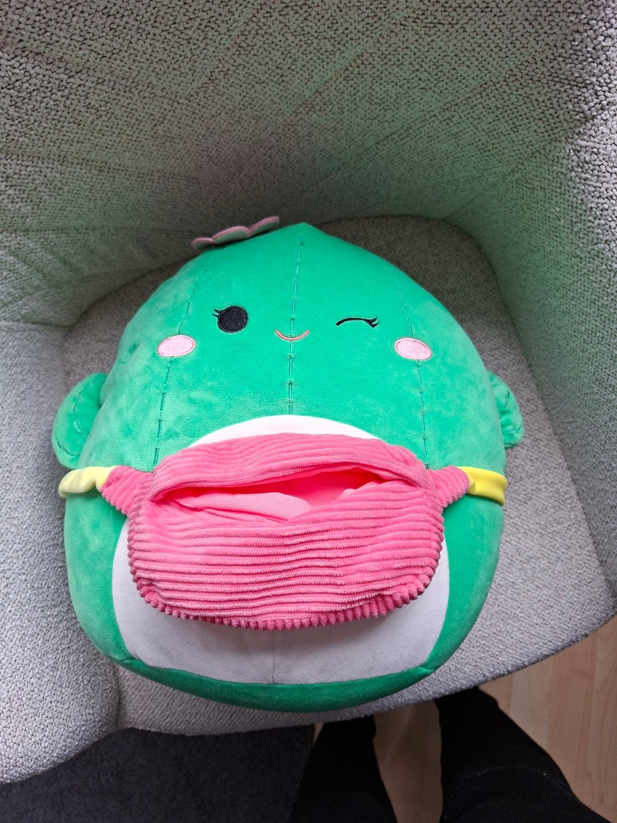 squishmallow cactus, Ophalen, Zo goed als nieuw, Overige typen