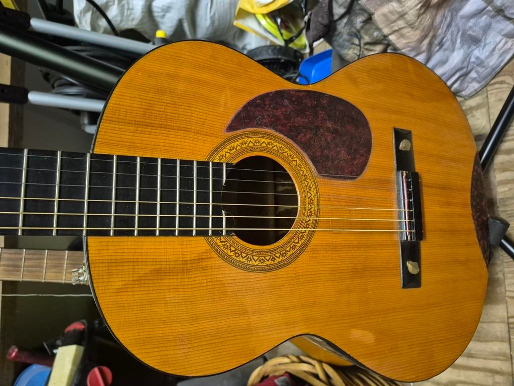 Seahan akoestisch gitaar, Ophalen of Verzenden, Gebruikt