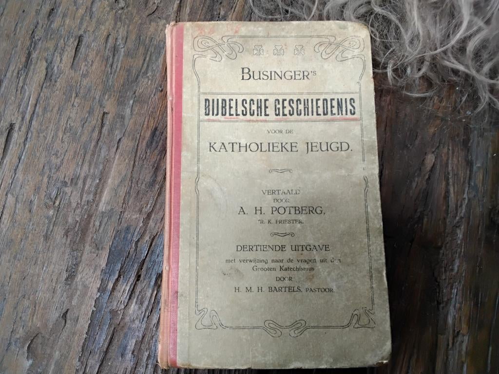 Oude Bijbelse Geschiedenis voor de Katholieke Jeugd uit 1916, Ophalen of Verzenden