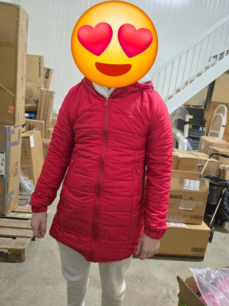 Winterjas nieuw dames, Kleding | Dames, Jassen | Winter, Maat 38/40 (M), Zwart, Nieuw, Ophalen of Verzenden