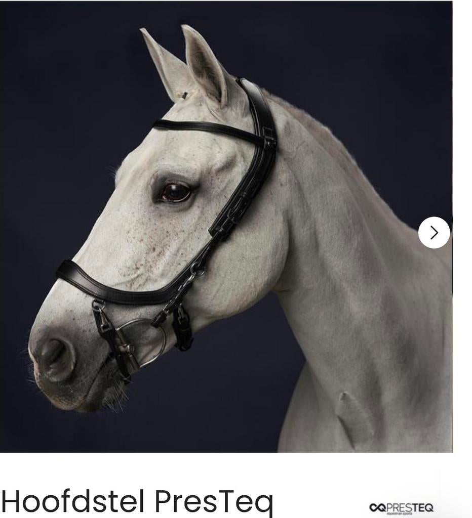 PRESTEG HOOFDSTEL, Dieren en Toebehoren, Paarden en Pony's | Hoofdstellen en Tuigage, Ophalen of Verzenden, Zo goed als nieuw