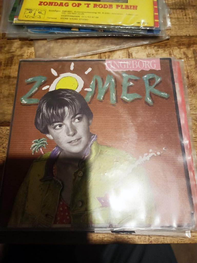 Ingeborg - zomer, Ophalen of Verzenden, Zo goed als nieuw, Overige formaten, Levenslied of Smartlap
