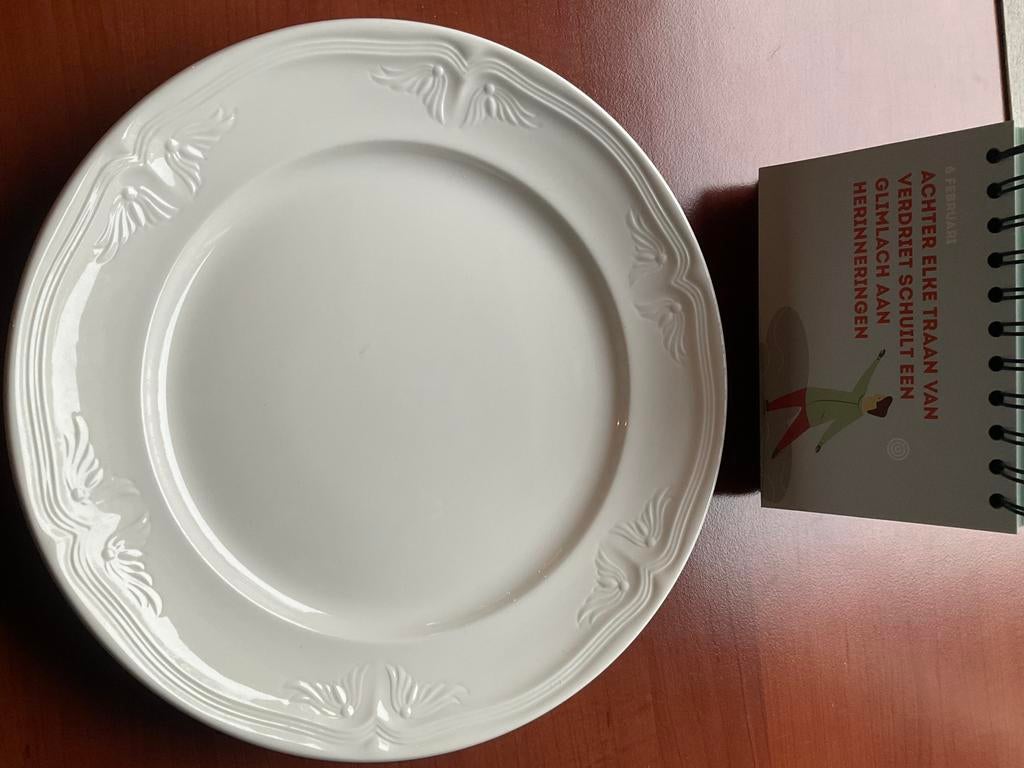 Villeroy& boch cortina bord 0130/ nieuw / diam.26.5, Ophalen of Verzenden, Zo goed als nieuw, Bord(en), Overige stijlen