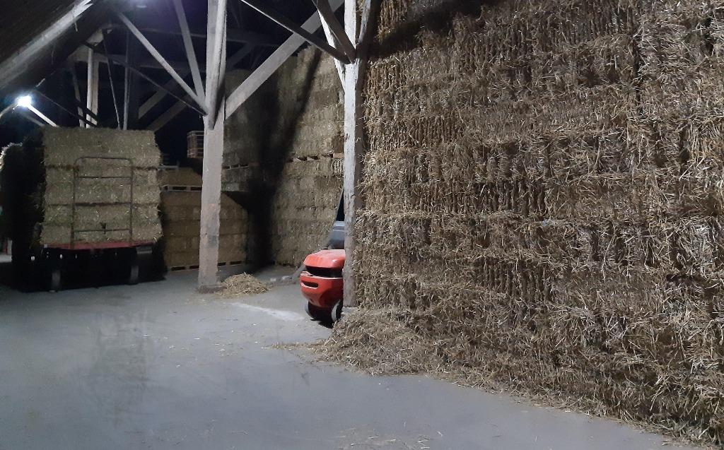 Tarwe stro in kleine pakken van hoge kwaliteit., Ophalen, Vee